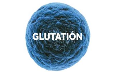 Que es el glutatión