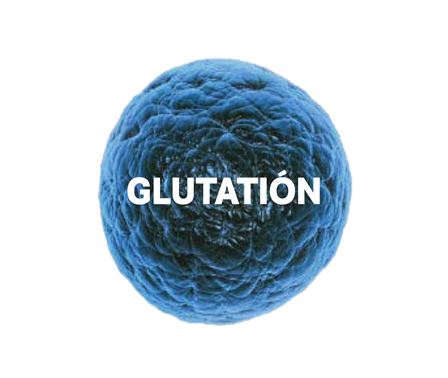 Que es el glutatión