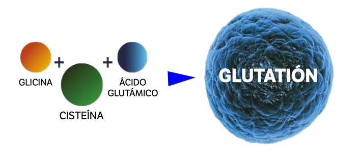 Glutation