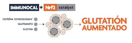 Indicación Booster energy tiene el catalizador Nrf2