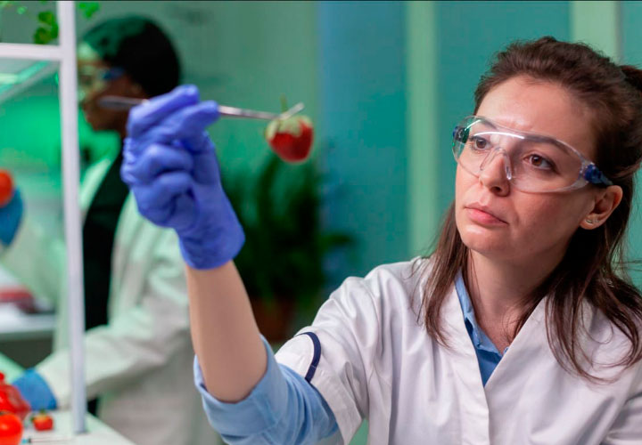 Científica en un laboratorio observando una fresa que tiene agarrada con una pinza